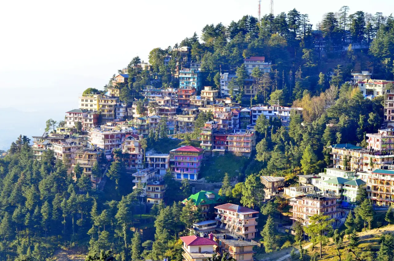 Shimla